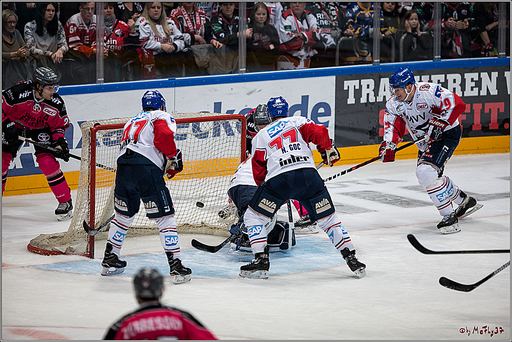Koelner Haie - Adler Mannheim, 30.10.2016